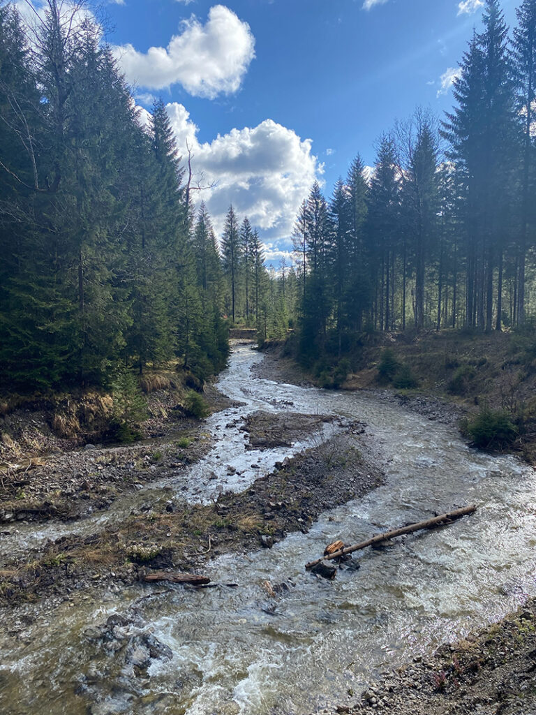 Natur und Wildnisschule